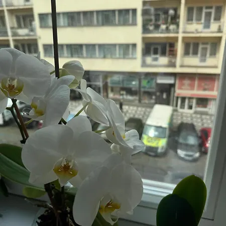 Milady23 Apartman *